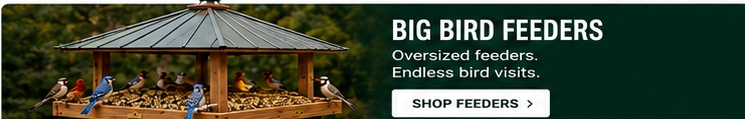 Big Bird Feeders